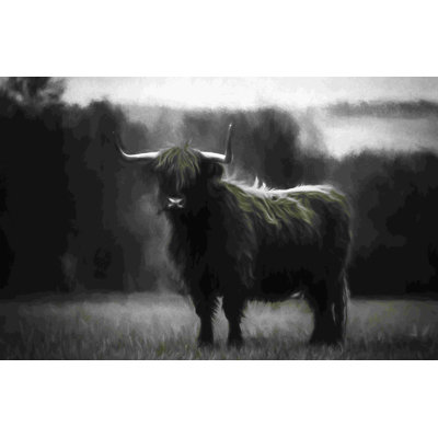 " Dramatic Cow "