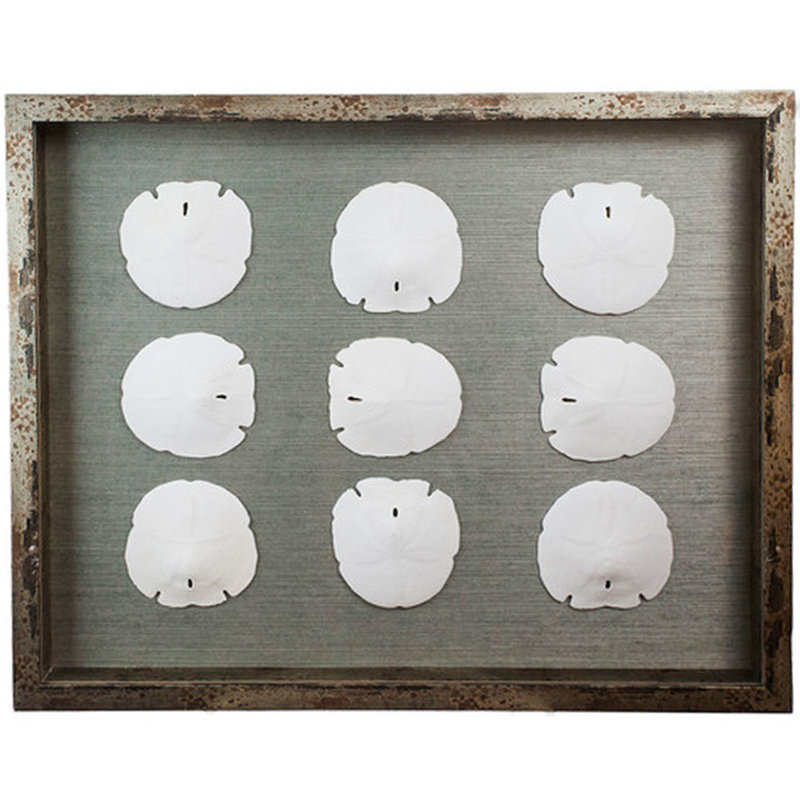 Sealife Print, Gray/White
