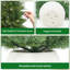 Plant-1780161415