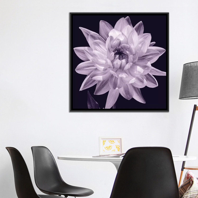 « white dahlia i », impression sur toile, H 37 po x l 37 po x p 1,5 po, Toile tendue, Pas de tapis