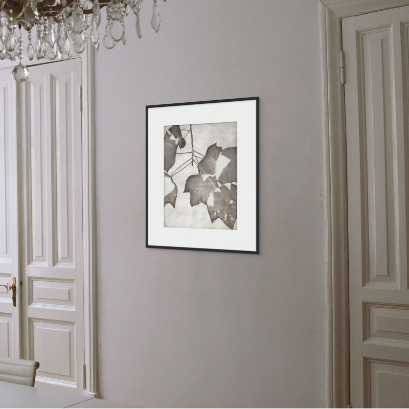 Lucent Botanicals 2 Print by Darrell Kincer, 28.5" H x 25.5" W