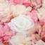 Artificial Rose Flower Backdrop Wall Panel