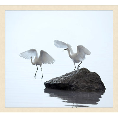 Coastal Morning 2' Framed Photographic Print on Glass