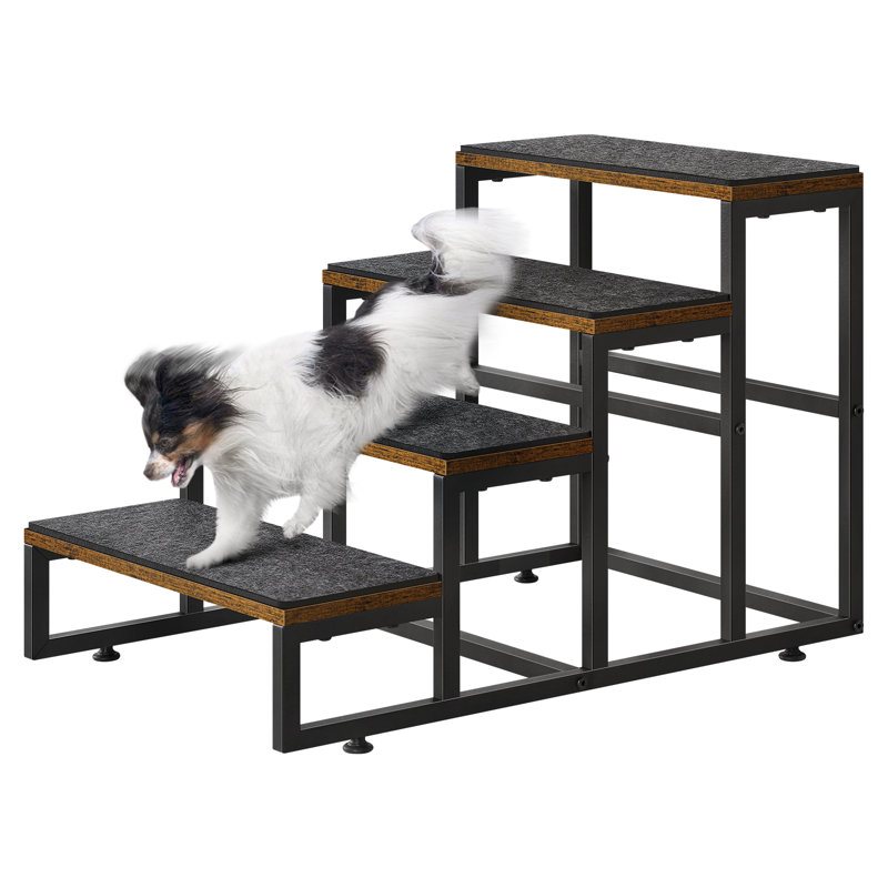 5 étapes pour chien et chat, noir