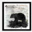 « birchbark bear », reproduction d’impression encadrée-962291989