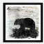 « birchbark bear », reproduction d’impression encadrée-962291991