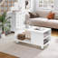 Raakel Coffee Table with Storage