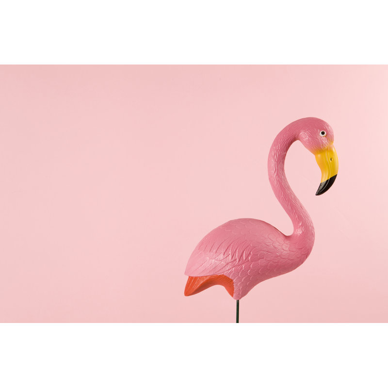 Pink Flamingo by LoulouVonGlup - Wrapped Canvas Print, 30cm H x 46cm W x 3.8cm D