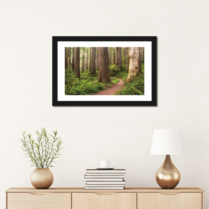 «Redwood Trail» par Stefan Hefele - reproduction de photo sur toile, H 16 po x l 24 po x P 1 po, Papier encadré noir, Blanc