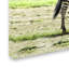 «Zebra» par Armand, reproduction sur toile-21648403
