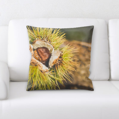 Coussin châtaignier