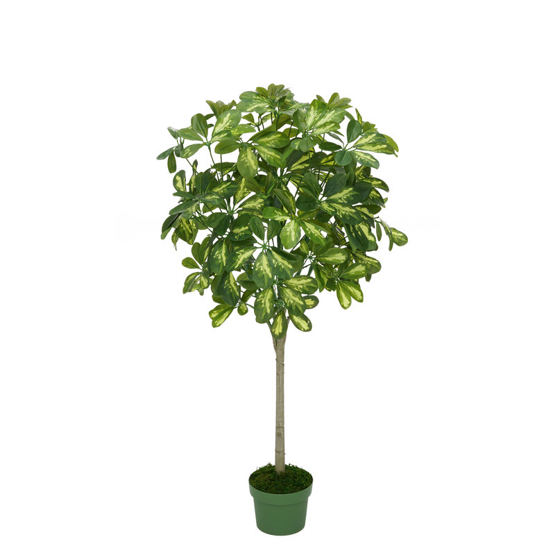 38'' Faux Foliage Tree in Pot Liner
