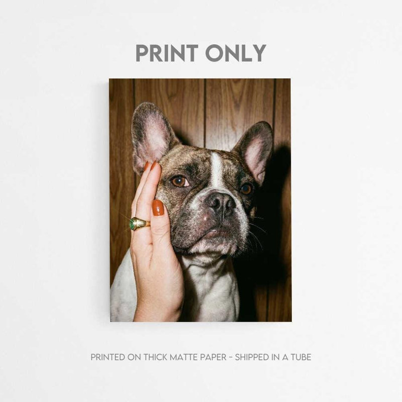 Frenchie Wall Art, Retro Bulldog Print (Multiple Sizes & Frames), H 32 po x l 24 po, Impression encadrée sans passe-partout