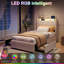 Upholstered Bed-1304044565-1304044563