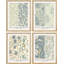 "Botanical and Floral Design" encadré sur papier, 4 pièces par William Morris-97770322-97770324
