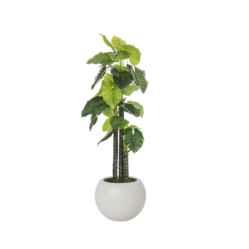 79.75'' Artificial Elephant Ear Tree In A White Fishbowl Planter