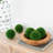 S/6 D4" Faux Boxwood Ball Bowl Filler,Green
