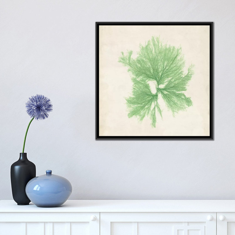 « péridot algues iii », reproduction d’impression sur toile tendue, H 12 po x l 12 po x P 0,75 po, Toile tendue, Pas de tapis