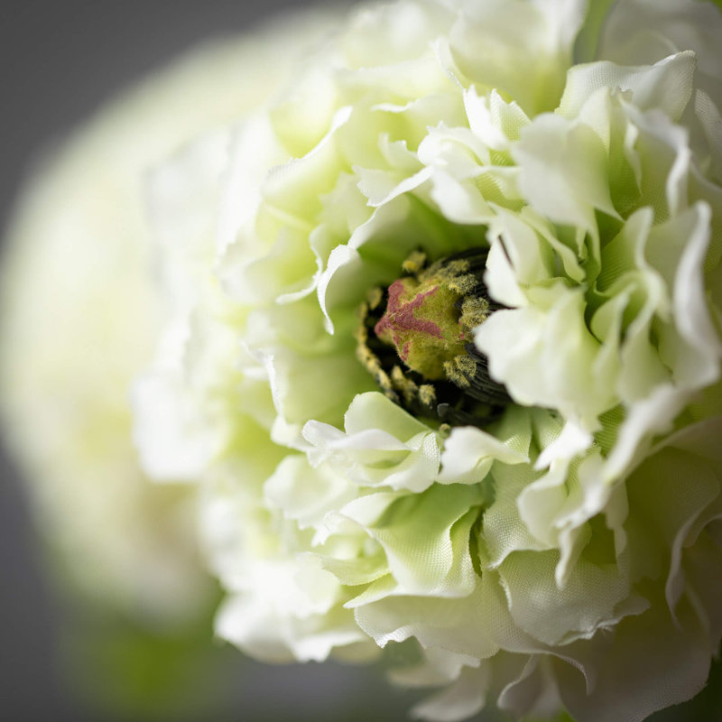 Ranunculus Arrangement