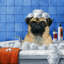 «I Hate Baths», reproduction d'art sur toile tendue-1118561688