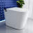 SANOXIS Smart Toilet Bidet Combo, Auto Open/Close Lid, Tankless 1.28 GPF Auto Flush, Heated Seat, Warm Wash & Dry, Intelligent Soft- Close, Blackout Flush, Deodorizer And Remote Control