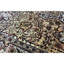 Sona Hand Woven Wool Oriental Area Rug