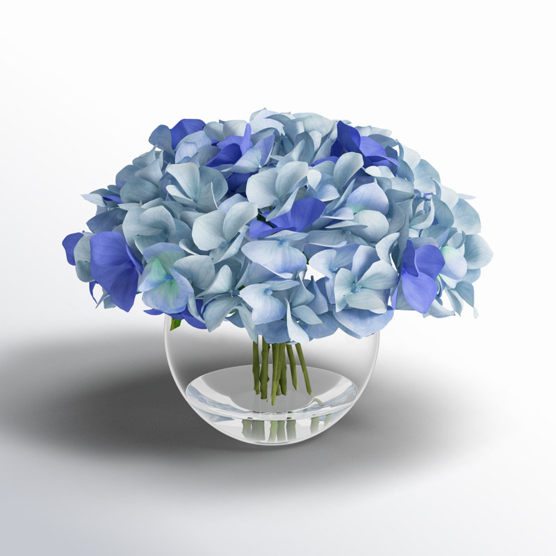 Jackir Hydrangeas Arranged in Glass Vase