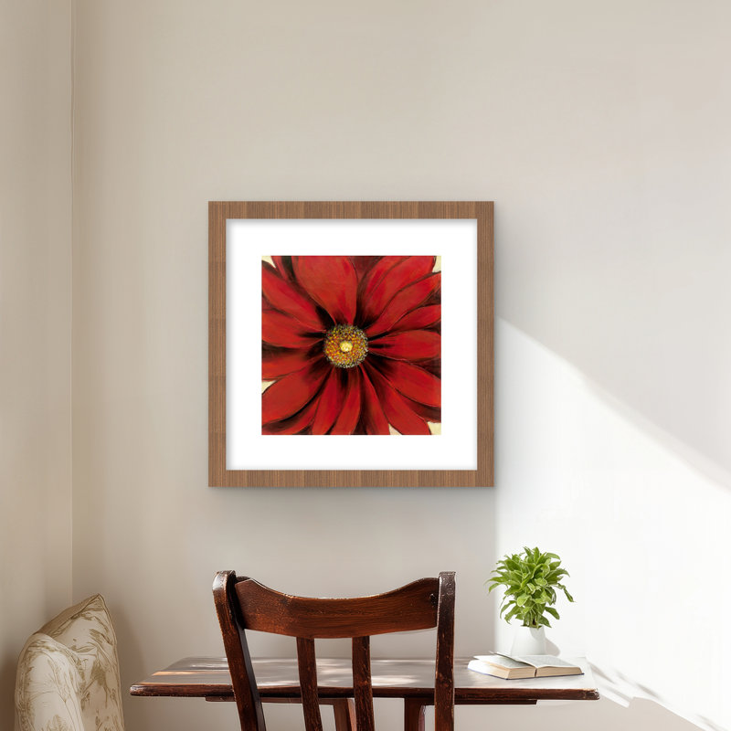 Red Daisy - Botanical Living