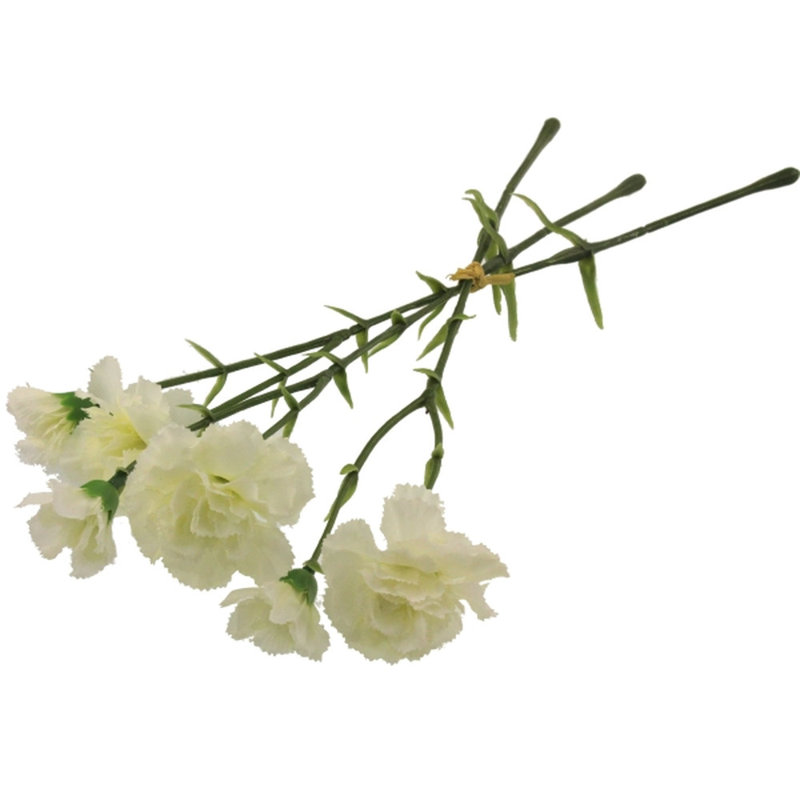 Carnation Arrangement, Cream