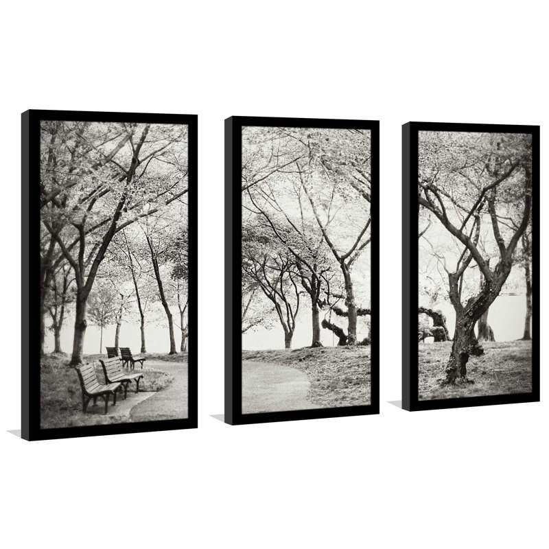 Path Path - Reproduction de photo avec cadre photo, L 40,5 po x H 25,5 po x P 1 po