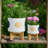 Stoneware and Ceramic Planter Set with Bamboo Stands - Modern Decorative Indoor Planters - Contemporary Geometric Design - Set of 2-996206073-944914616