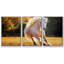 Horse Motion IV - 3 pièces, reproduction sur toile-1985612059-1985612262