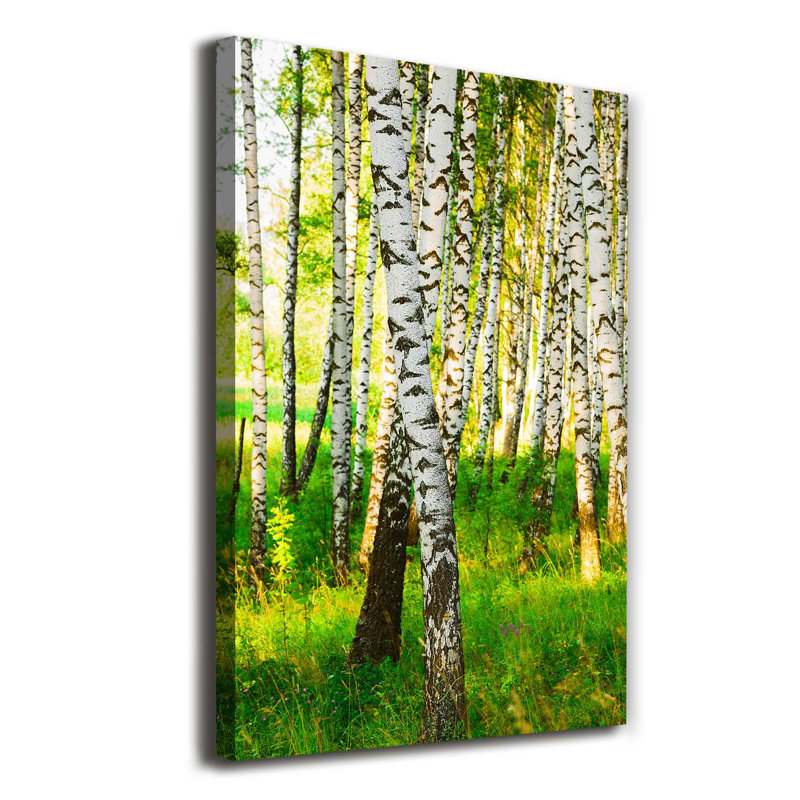 Birch Forest - Wrapped Canvas Print