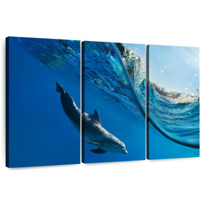 Dolphin Under The Wave