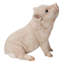Bébé cochon assis-67579699