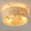 Ventilateur de plafond en rotin 20 po avec lumière et télécommande Anlaug pour salon / chambre à coucher / salle à manger