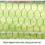Ridinger 65 Square Feet Chicken Run-1852666618