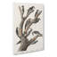 Woodpeckers by John Audubon - Wrapped Canvas-55320079