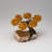 Small Citrine Clustered Gemstone Tree on Citrine Matrix (The Calming Tree)