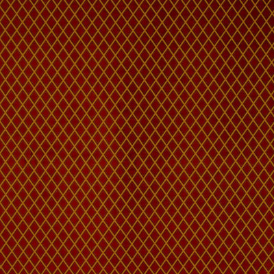 Allure Fabric