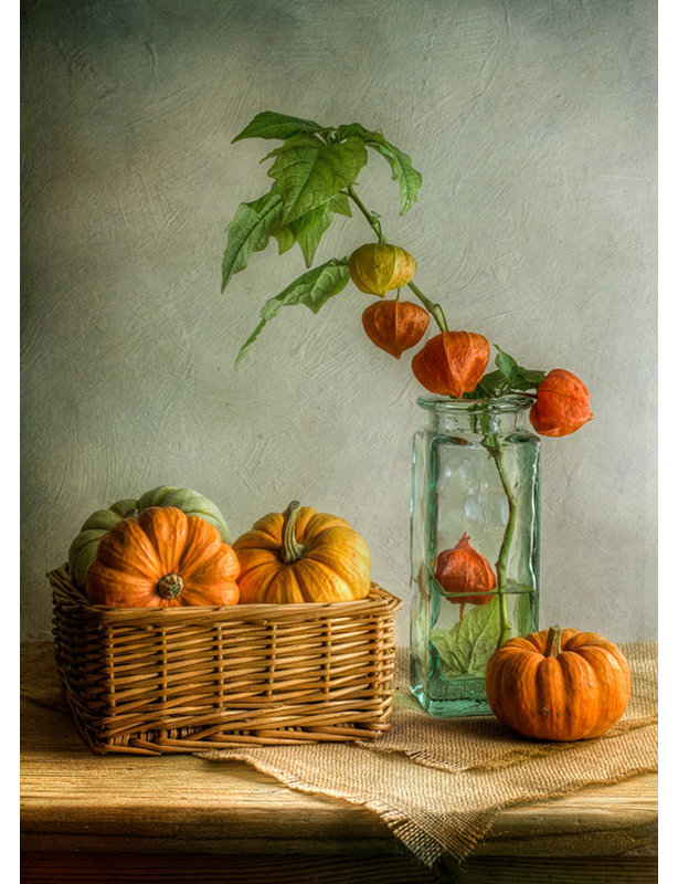 Wrapped Canvas Print, 76.2 cm H x 50.8 cm W