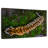 Brampt Tiger From Above-107854083
