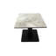 Adarrion Pedestal Coffee Table