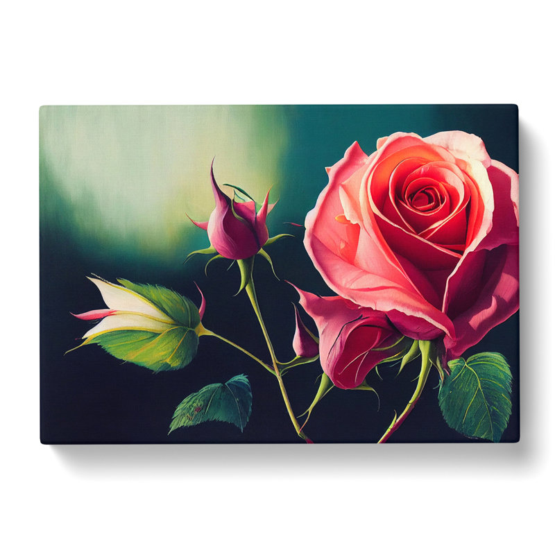 Splendid Rose Flowers - Wrapped Canvas, 35cm H x 50cm W x 3cm D