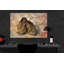 Shoes by Vincent Van Gogh - Wrapped Canvas Painting-1501070037