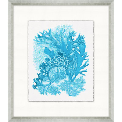 Cyan Coral Collection 3 Framed Painting