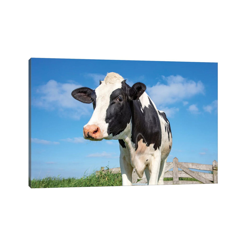 Cute Cow by Clara Bastian - Wrapped Canvas Print, 20.32 cm H x 30.48 cm W