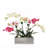 Orchid Arrangement in Pot