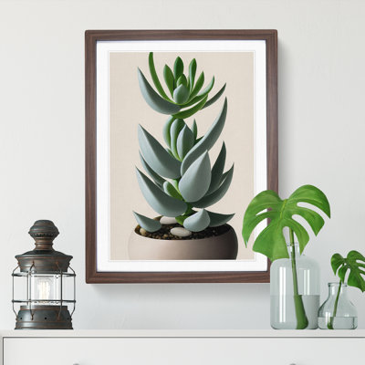 Succulent Plant - Wall Art