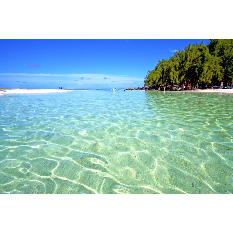 Ile Du Cerfs Beach , 30cm H x 46cm W x 3.8cm D